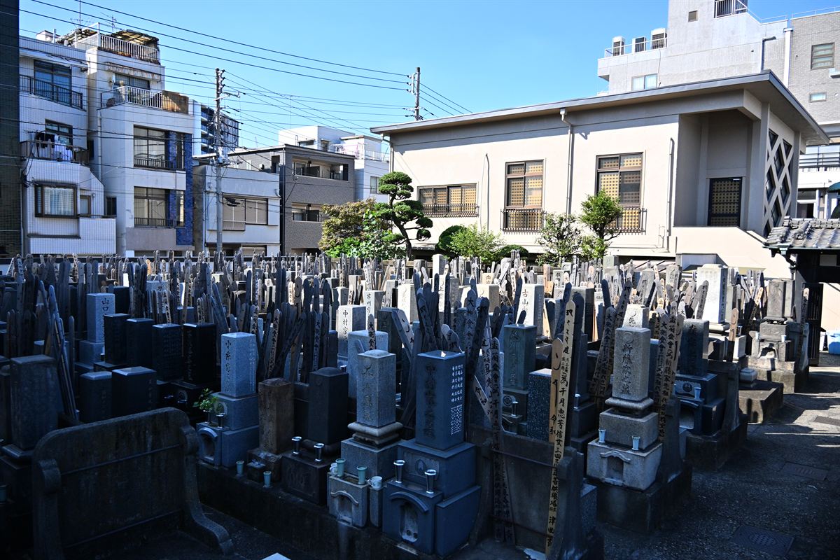墓地の全景